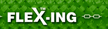 flexing logo